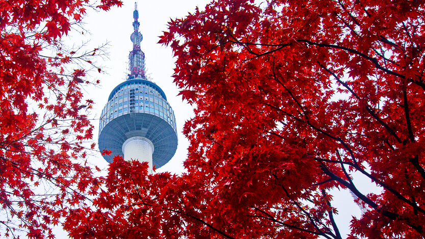 N seoul tower