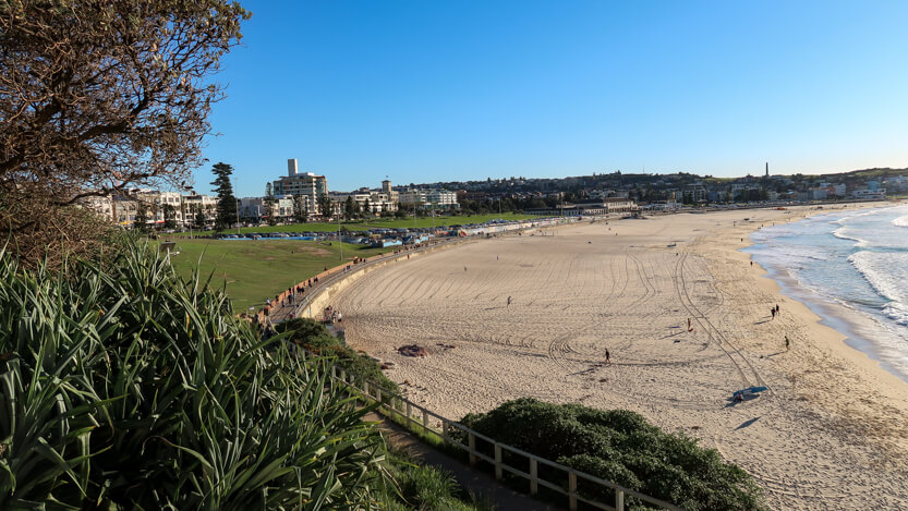 Bondi Beach