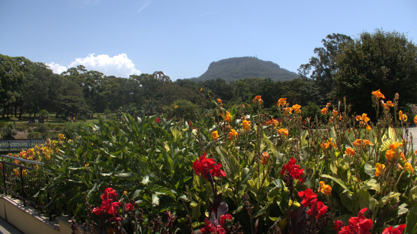 Wollongong botanic garden